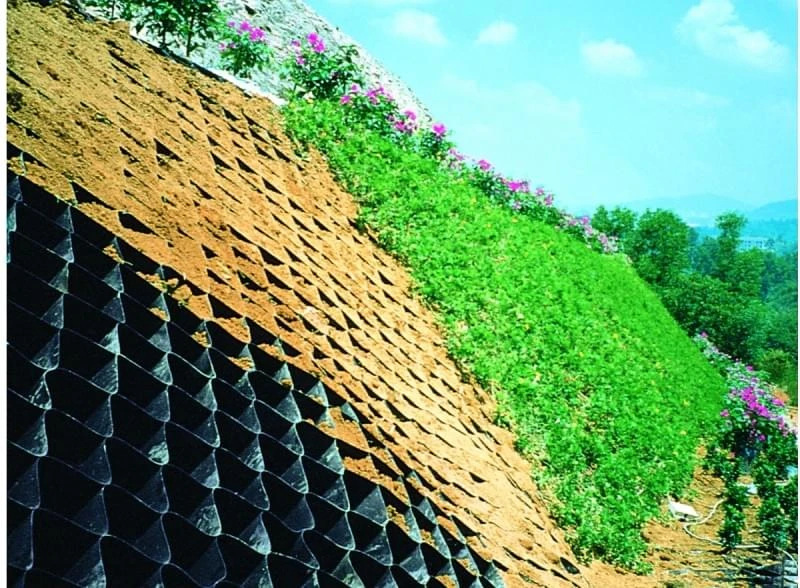 Ô ĐỊA KỸ THUẬT